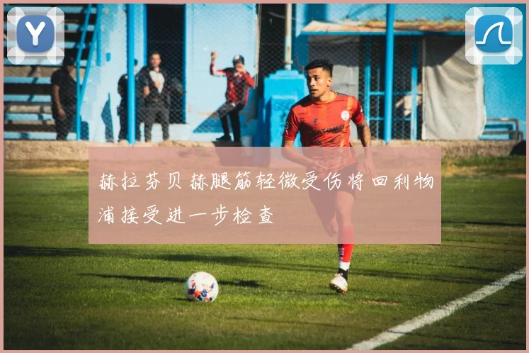 赫拉芬贝赫腿筋轻微受伤将回利物浦接受进一步检查