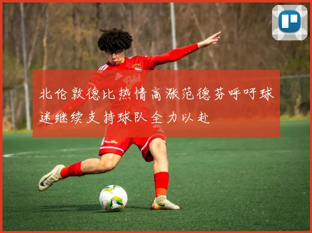 北伦敦德比热情高涨范德芬呼吁球迷继续支持球队全力以赴