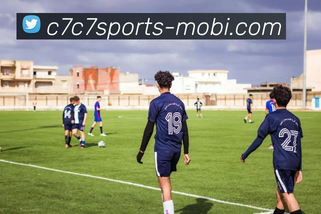 C7C7娱乐服务体系